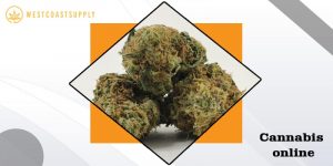 Home 127 cannabis online