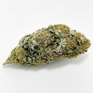 lemon cookies marijuana strain