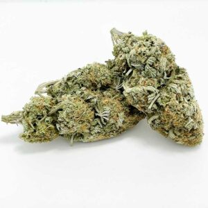 lemon cookies marijuana strain in bulk nugs