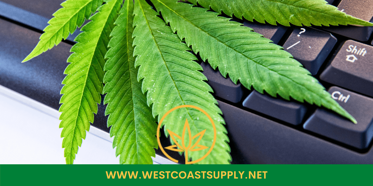 Westcoastweeds: Search to Find Best Weeds in Canada