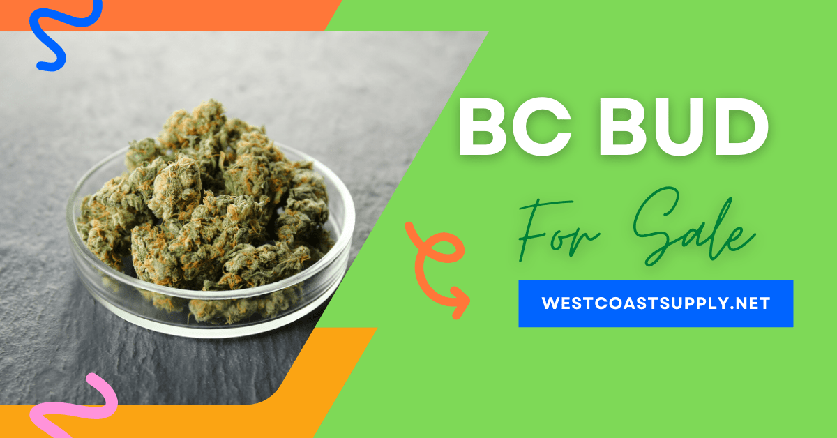 BC Bud Supply Canada